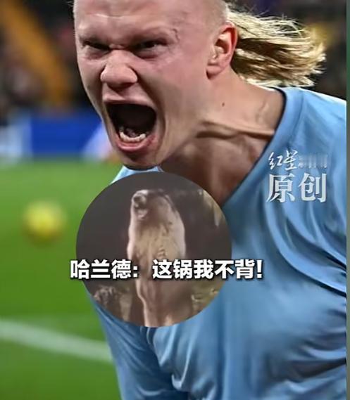 哈兰德怎么也没想到，自己的头像竟然被毒贩当“防伪标识”，厄瓜多尔警方接到匿名线