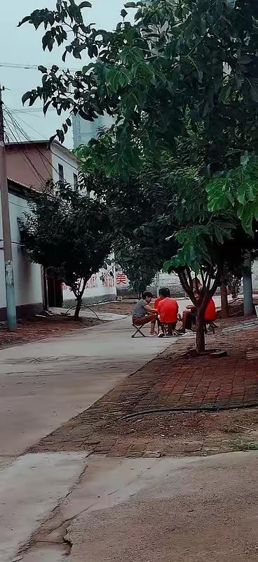 农村3大祸害，正在毁掉无数家庭回村住了半个月，我才发现现在农村悄悄冒出来三