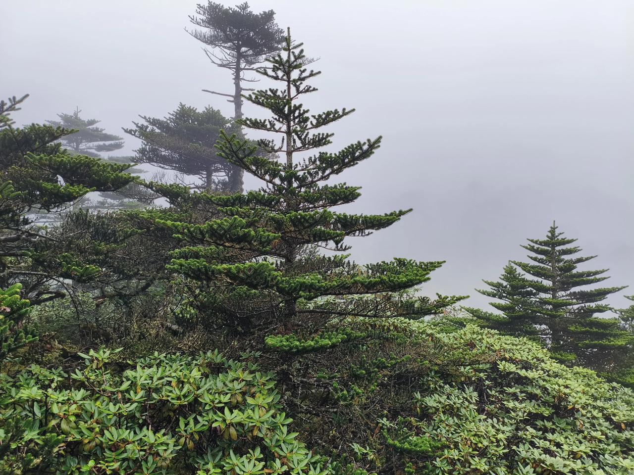 我这人没什么爱好，就喜欢到处走走看看，看看不一样的风景，吃点不一样的美食。今
