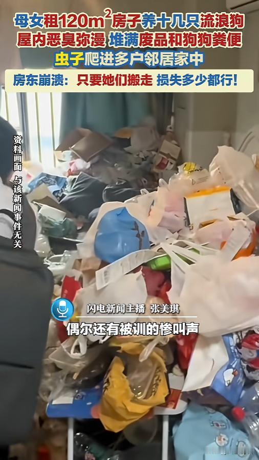 “咋不去祸害自己的呢？”6月9日报道，上海，一对母女自己有房子，偏偏又花钱租了套