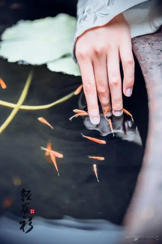 只用一个四字成语形容女人的美，“沉鱼落雁”就很绝。传说西施在溪边浣纱，鱼儿看见她