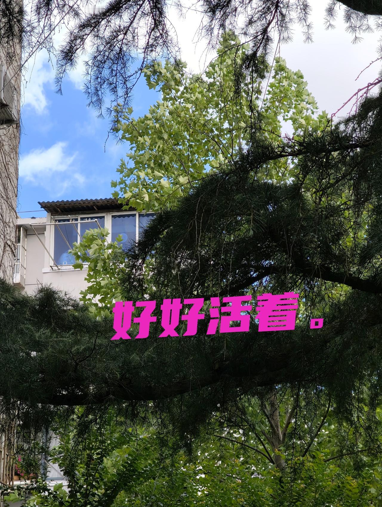 5点多起来，把几天的力气都使完了。孩子带着孩子今天要过来。说是对居住的老环境(