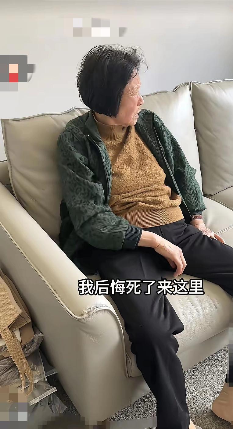 一个上海女孩，嫁到了新西兰！为了孝顺母亲，把母亲接到了新西兰和自己生活！刚开始的