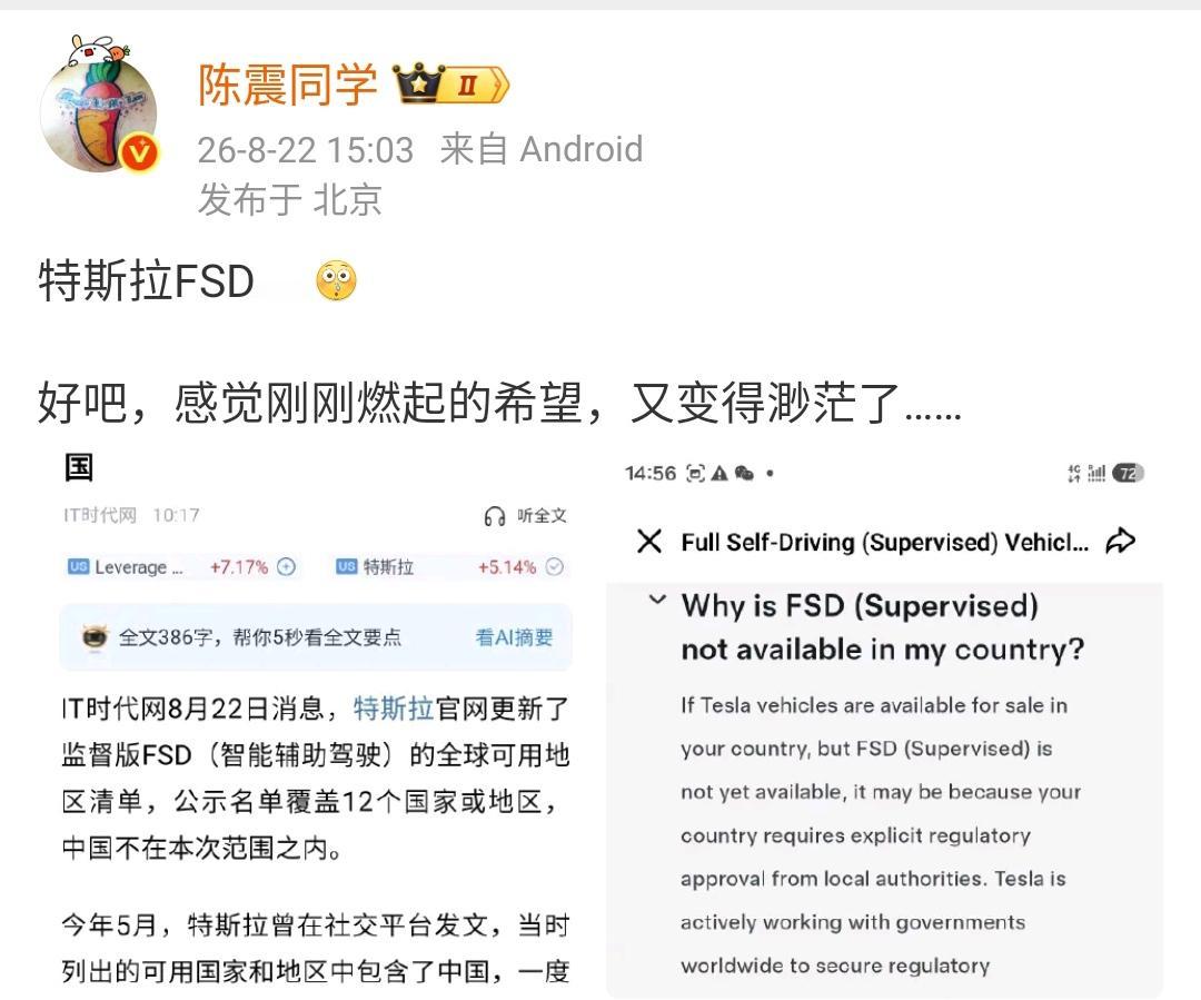 陈震：特斯拉FSD浪费了我两次钱！在新的公布的一批可用名单里面并没有包含中国