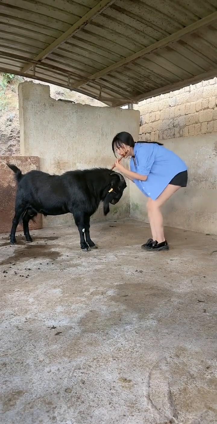 哎呦我的妈，哈哈。
