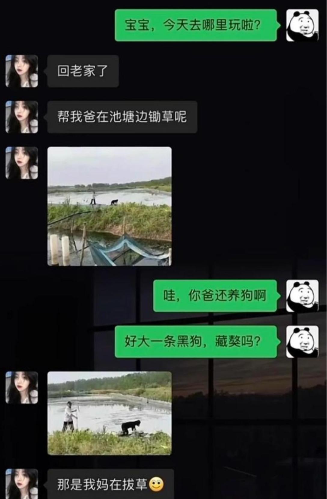 对象说回老家帮家里锄草，顺手发了张池塘边的照片。我盯着图里岸边黑乎乎一大坨，赶