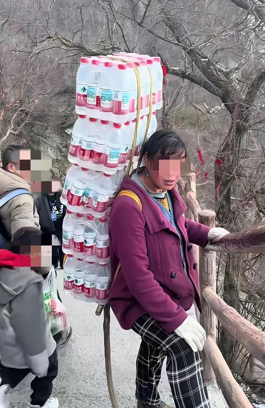 这个女子背起五箱矿泉水在爬山，一箱矿泉水24瓶，每瓶按1斤计算，一箱就是24斤，