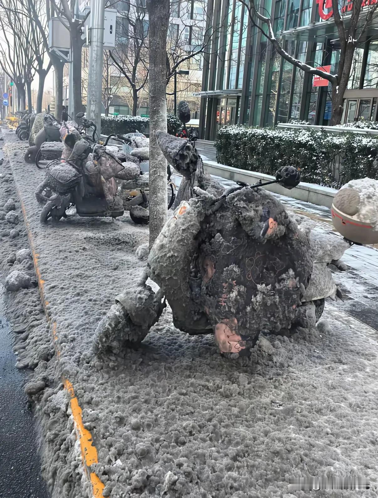 这让我怎么上班？电动车都冻在雪里了😓😓😓😓😓😓😓😓😓😓上班