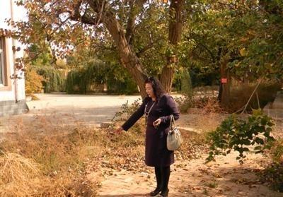 1982年，青海18岁女兵修水管时，挖出2吨银元，她四下张望，确定周围没人后，撒