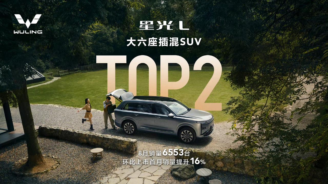 十万级大六座星光L真材好料，真的打破我之前对平价家用SUV的刻板印象。之前想挑