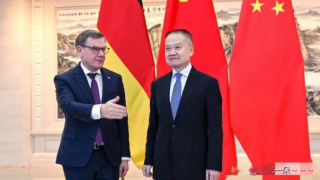 有救了？德国汽车有救了！尽管一波三折，德国外长还是低下头今天飞到北京了…据