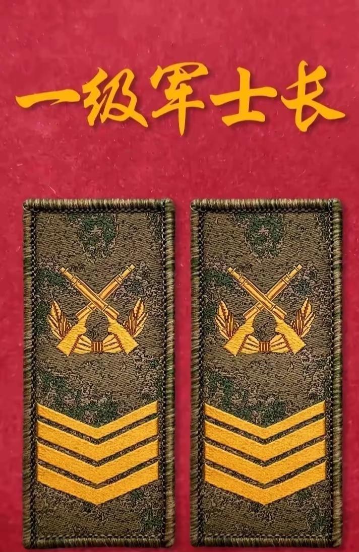 愿坚守在祖国国防一线的士兵闯关独属你们的九级阶梯。这九级阶梯可不是游戏里打怪升