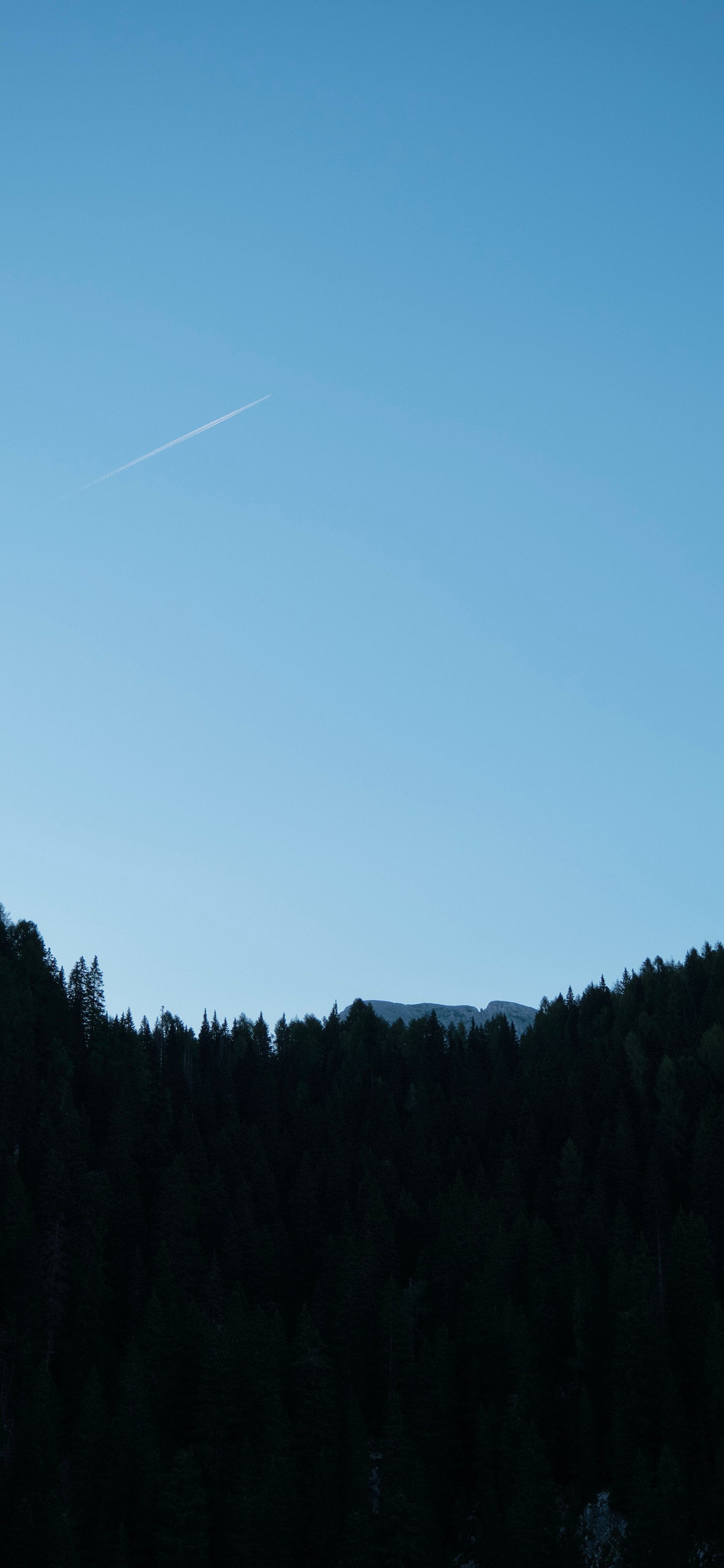 小伙伴门早啊风景壁纸