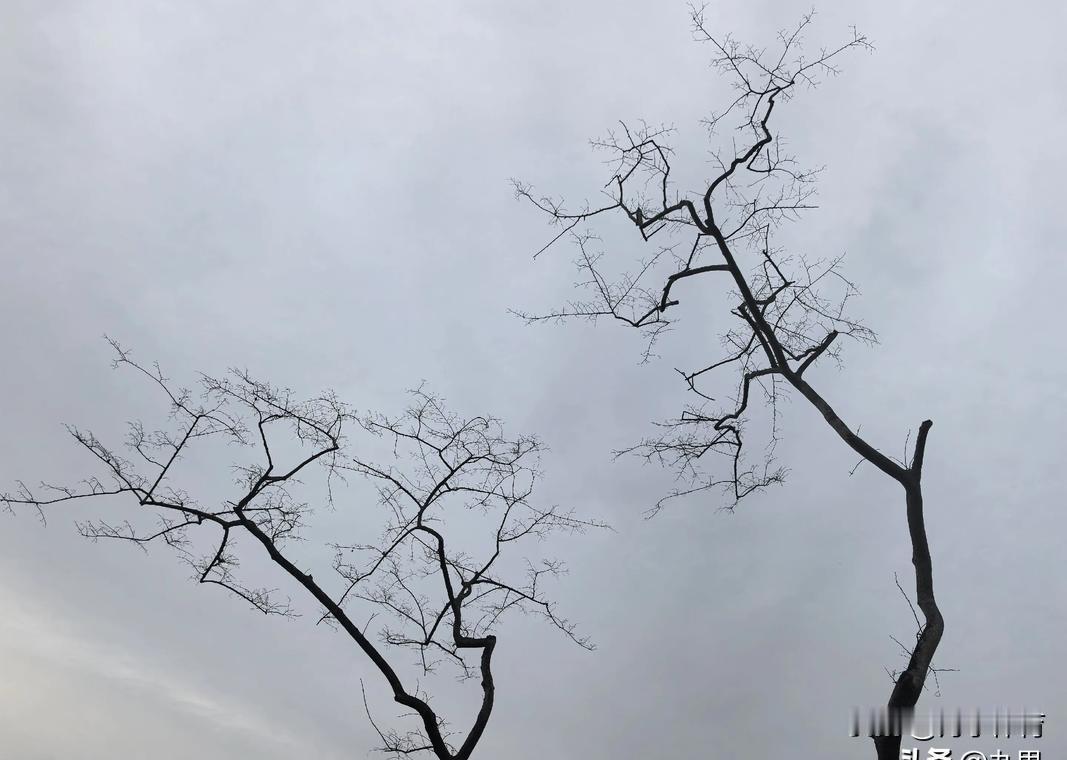 全中国最危险的地方，不是按摩店，是你楼下的棋牌室。警察最近严打，不是没道理的。