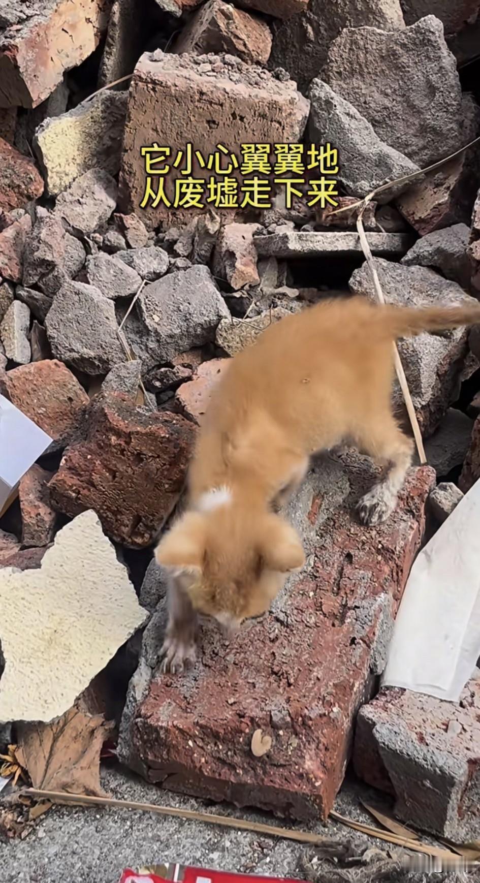 太可怜了！这天一位事业失败的小哥哥漫无目的地走在一片空地上，这里曾经是一片城中村