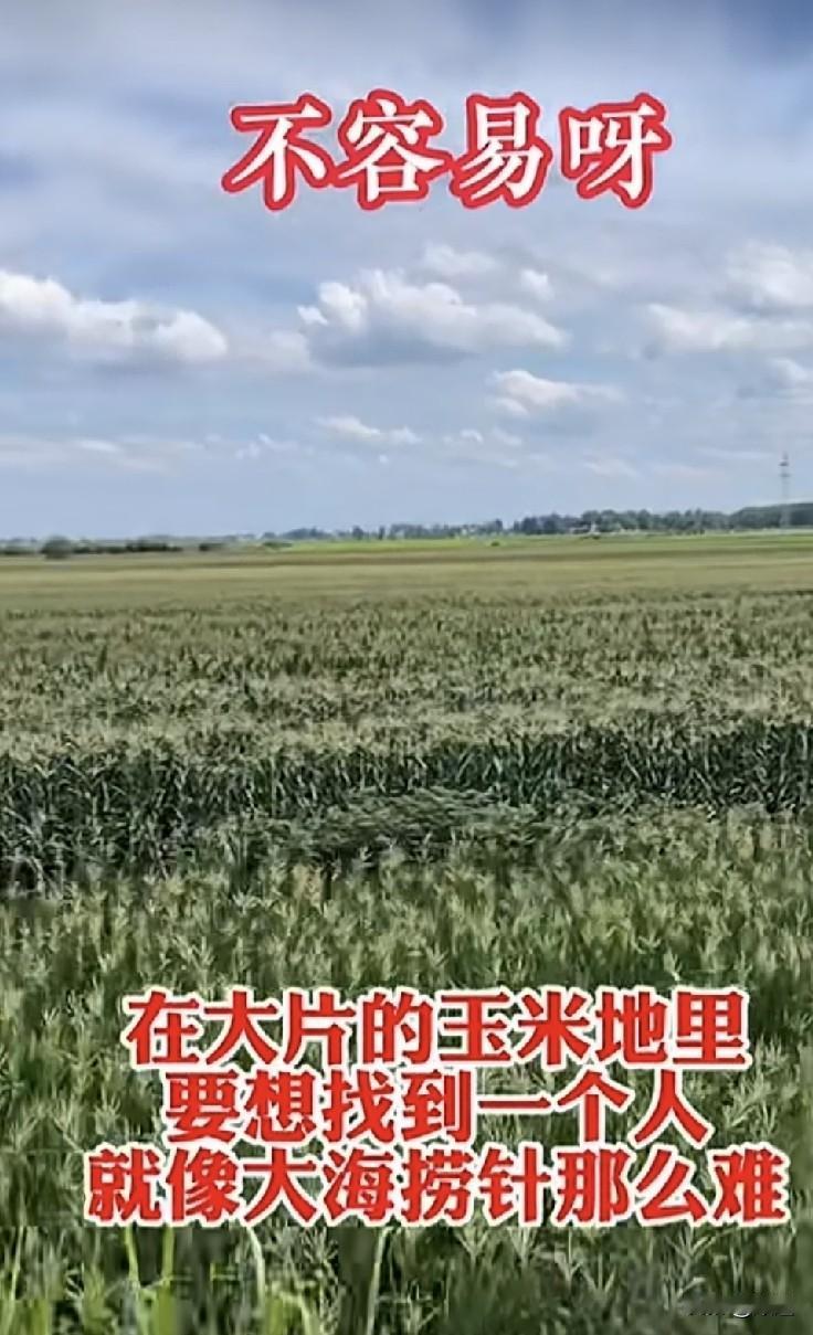 河南西平夏付钢估计已不在人世了。就冲他案发后回家给老娘做了一顿饭，又去老父亲坟