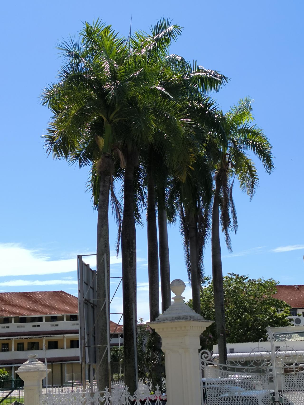 一位天生丽质的姑娘，就因为聋哑，结果，好不情愿地嫁给了一位长相普通、家境贫寒又憨