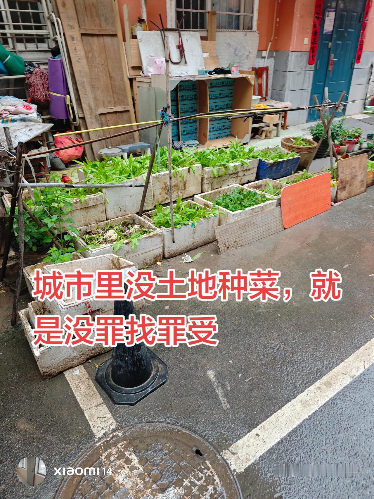 我是农民，自从打工之后不怎么爱种地了，感觉种地就是自己受苦。因为我们老家的是旱地