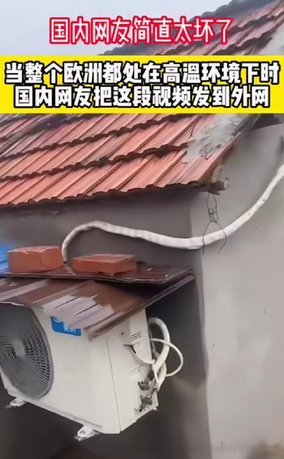 这不是伤害，这是侮辱！虾仁猪心