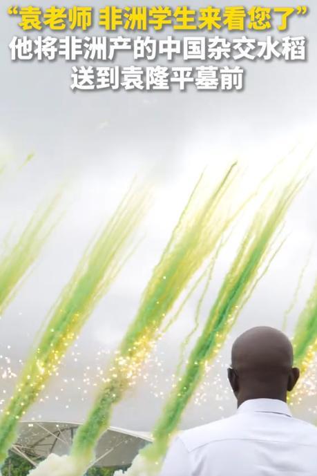 6月11日，来自冈比亚的农民穆萨.达博跨越12000公里，捧着一袋中国杂交水稻稻