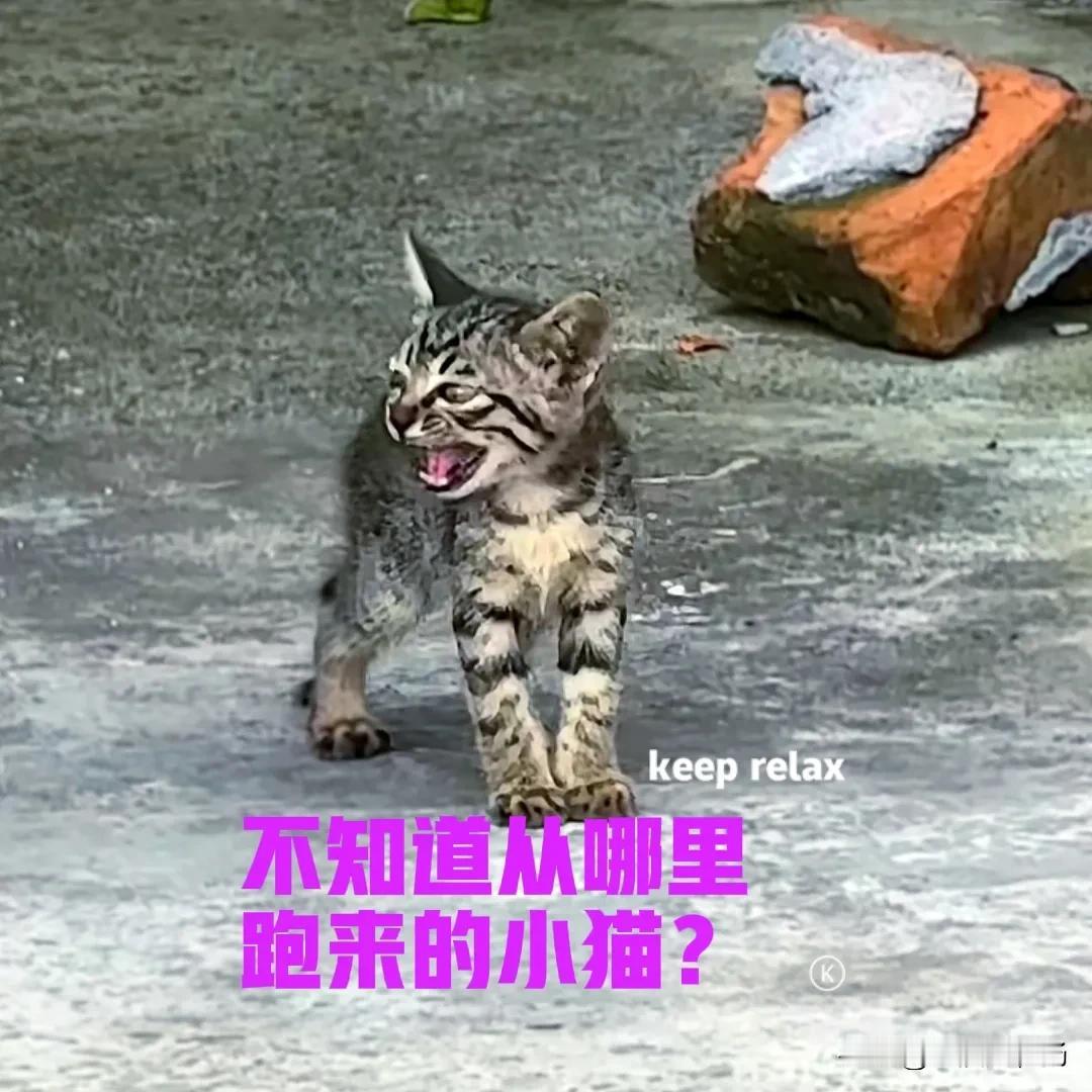 今天的天气太热，温度达到了三十八摄氏度。吃过午饭，便躺在沙发睡了一会儿午觉。正睡