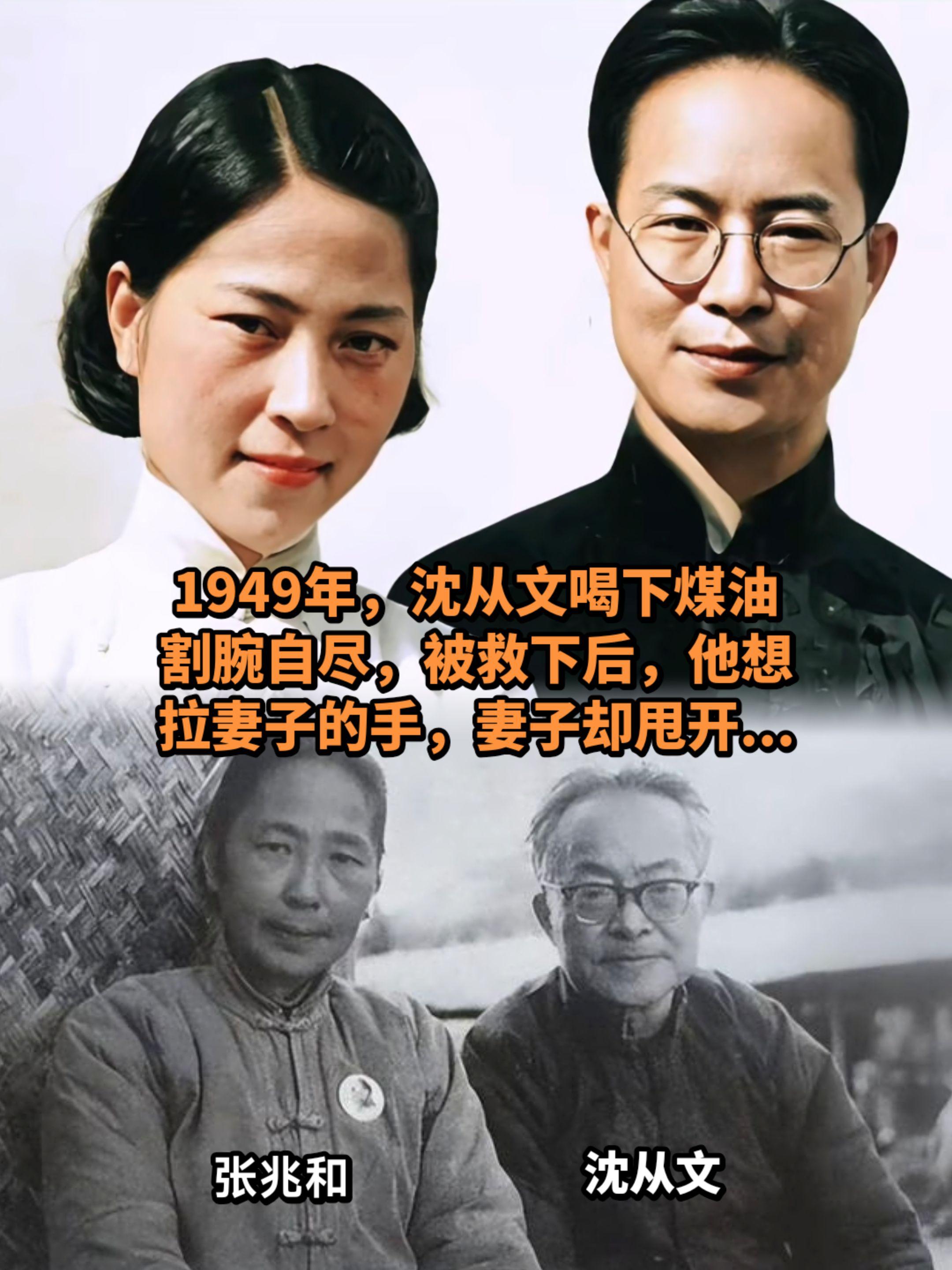疯狂情书追来爱人，最后只剩满心亏欠。乡下出身的沈从文，疯狂追求名门闺秀...