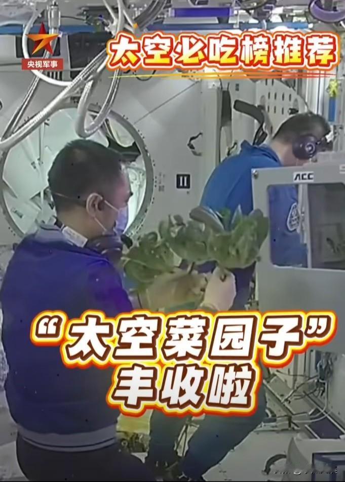 厉害了我的国！居然把太空当做菜园子了，航天员在太空舱里面种植蔬菜取得成功。