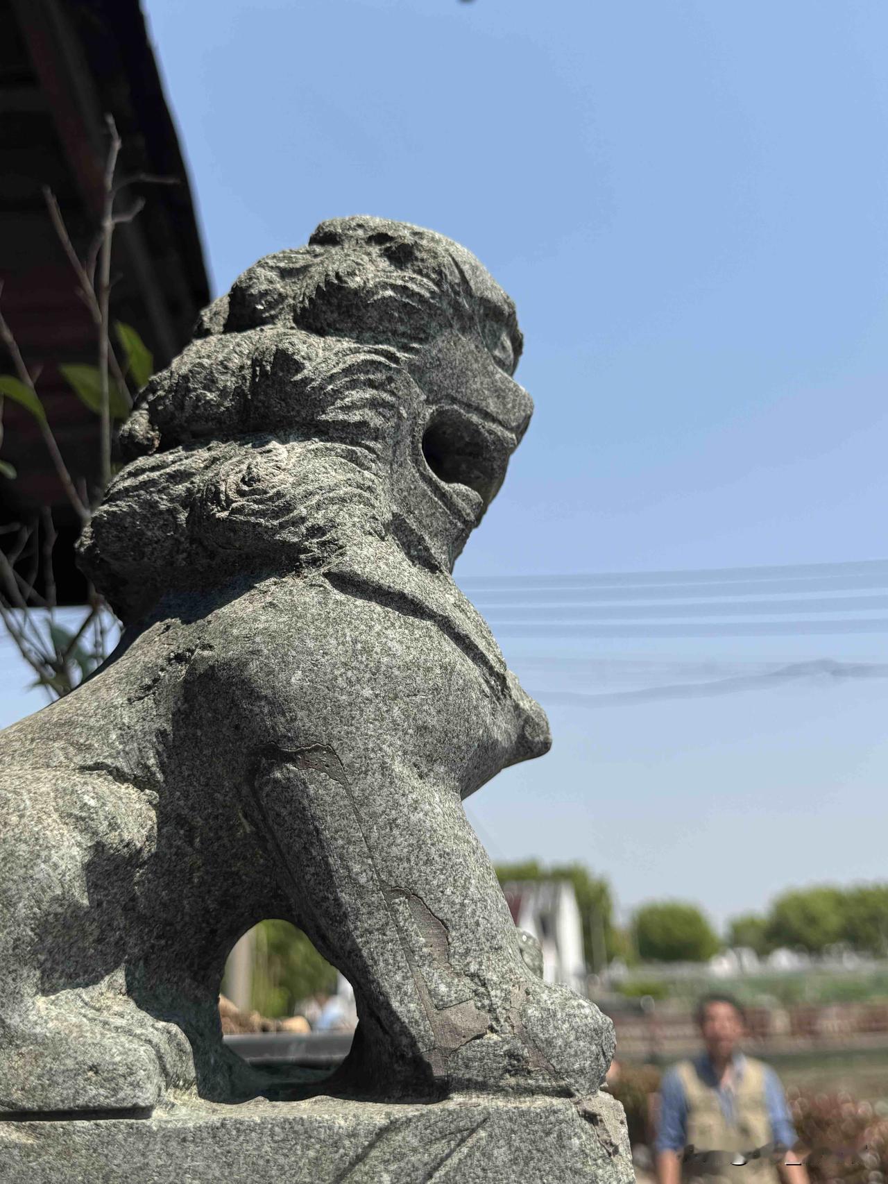 分享一下你今天随手拍下的美景