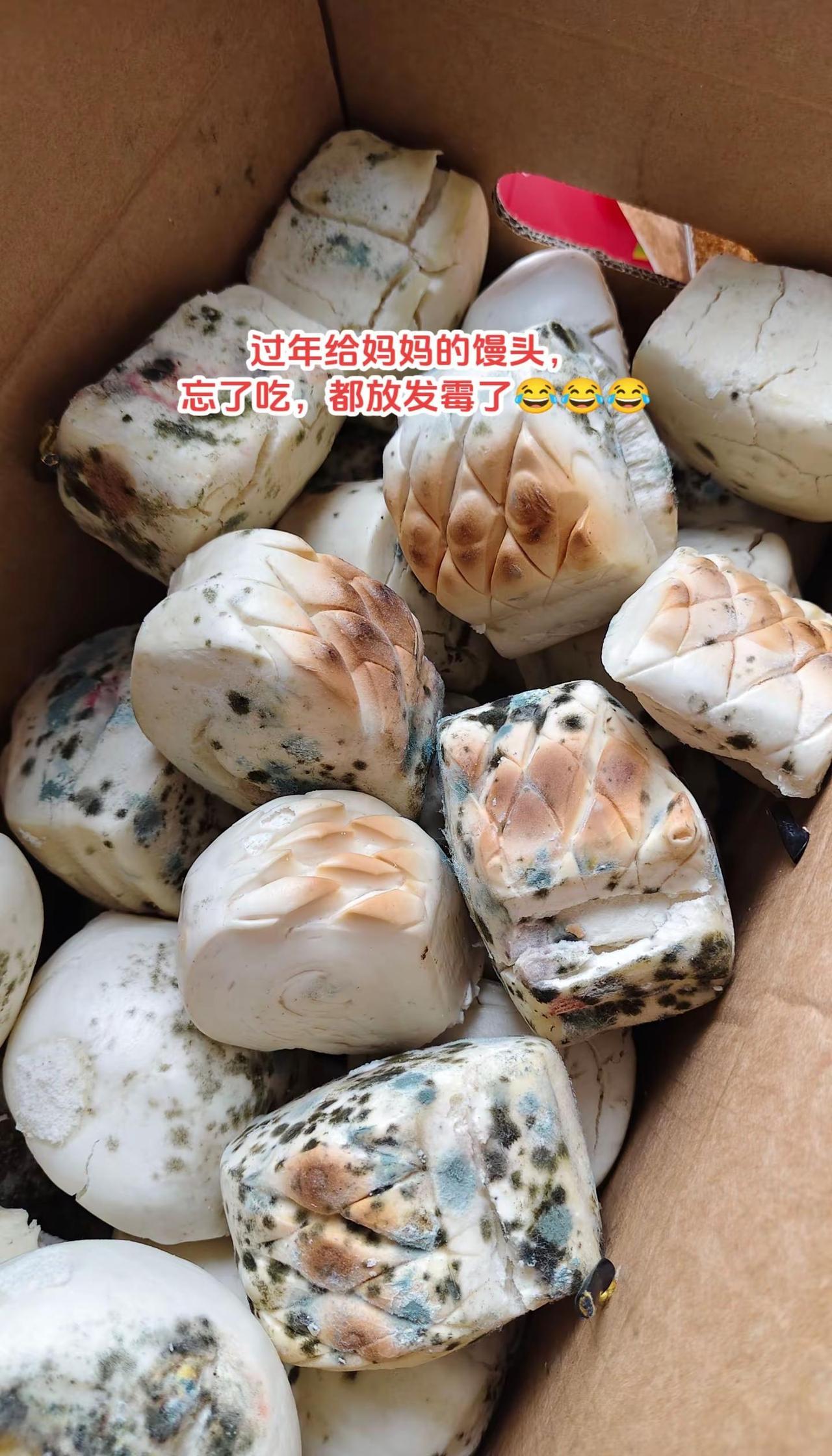 发霉的硬面馍，鸡🐔吃了会不会中毒😂😂😂创作者中心创作灵感硬面馍馒头