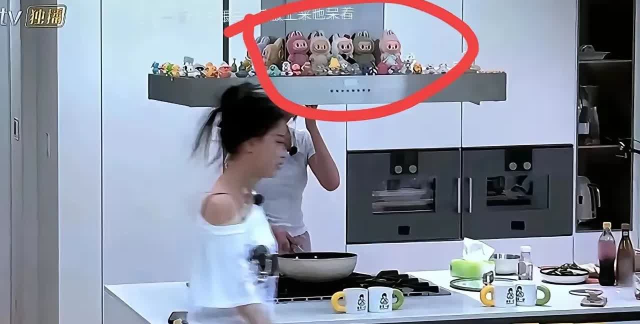 不知道孙怡是不是因为节目组到家中拍摄，才把家收拾得这么干净整洁，油烟机上放娃娃我