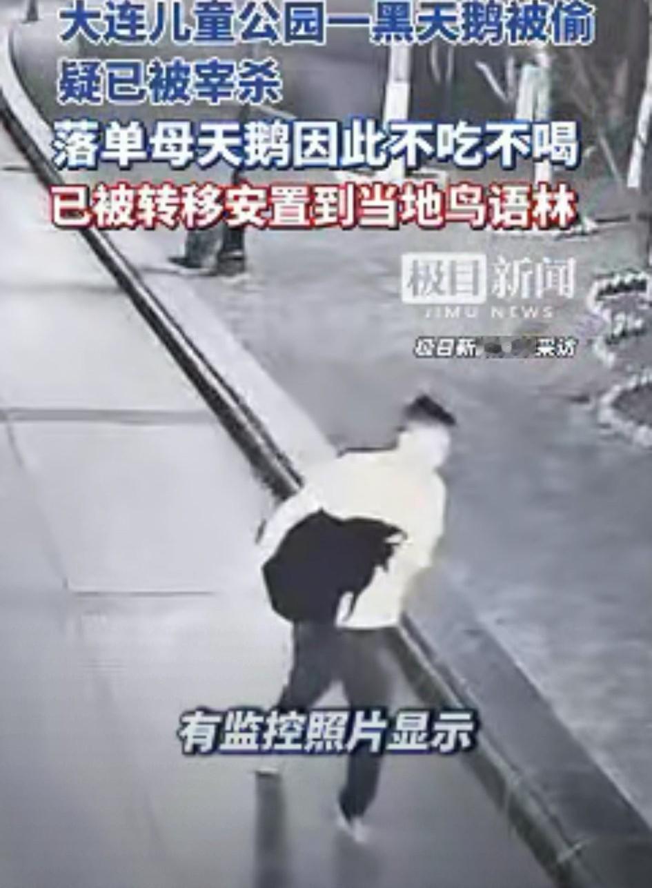 在大连儿童公园偷天鹅的那个男子被抓到了。是个做保洁的今年60岁，家住朝阳。还真不