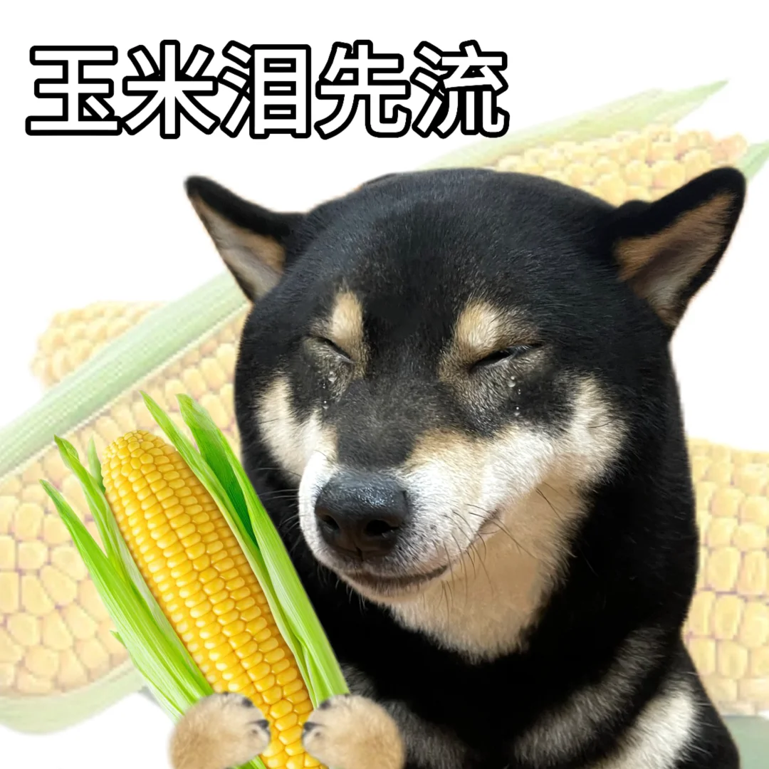 谢谢你的冷蛋🥚