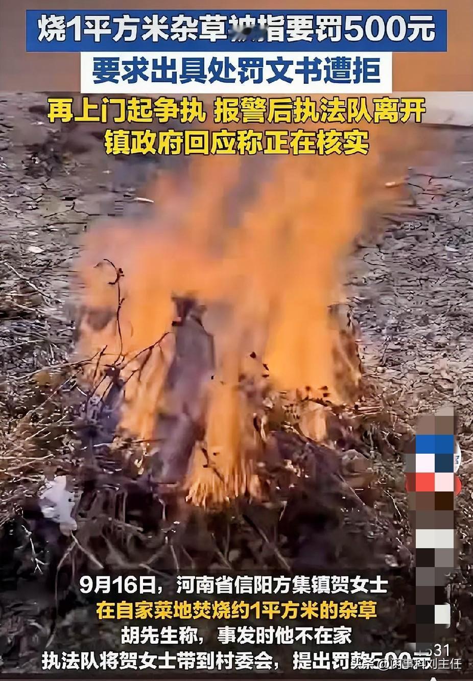 信阳一农村大姐在自己家地里烧了一堆杂草，不过一平方的面积，竟然被“执法队”上门处