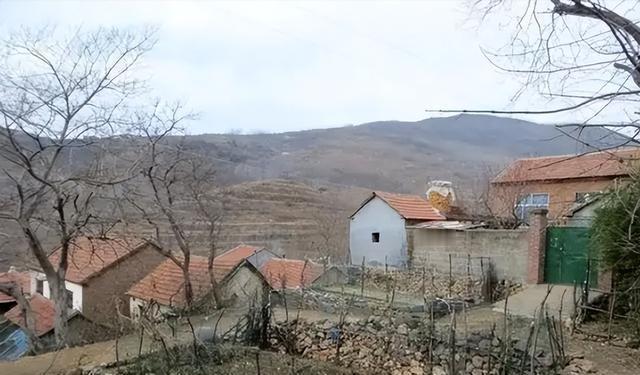 山东穷小伙在外国打工，被肤白貌美的洋护士倒追，如今生下双胞胎2004年，央视