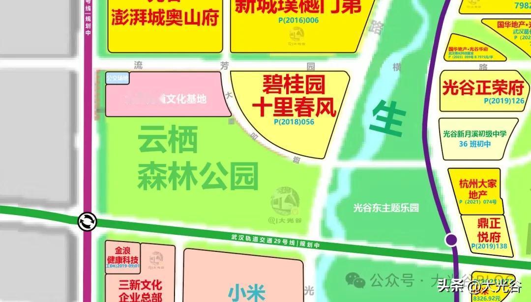 光谷流芳园横路以南地块控规再公示：绿地异地平衡，文化用地调整为中小学用地近日，