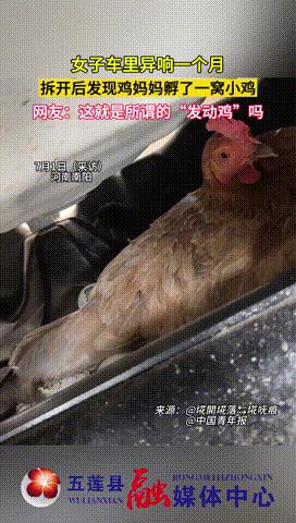 “过于离谱了！”河南南阳，一女子每回开车出门时，都能听到奇怪的响声，可找遍了车子