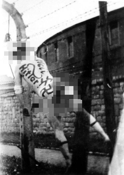 一张1945年的照片，照片中毛特豪森集中营指挥官弗朗茨·齐雷斯死后被吊在围栏上；