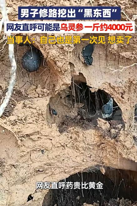 “简直赚翻了！”近日，四川达州，一男子修路时，竟意外发现挖掘机挖出几团黑东西，男