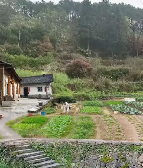 经过一段时间的深思熟虑，我老公认为老家的房子也没有必要建了，原因如下：1.我们