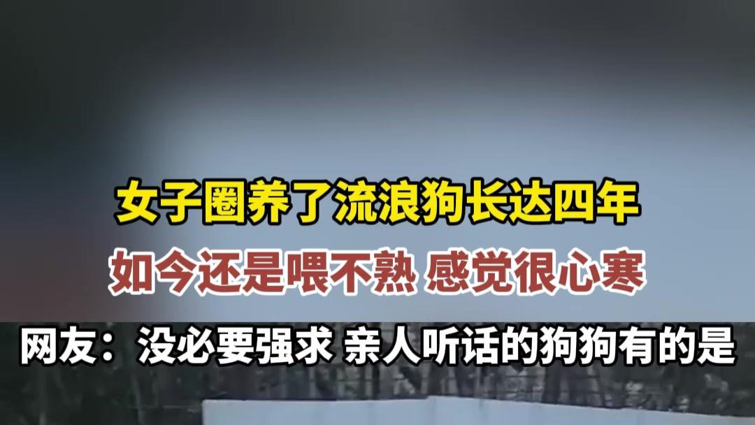 女子四年圈养流浪狗仍喂不熟 心寒结局曝光
