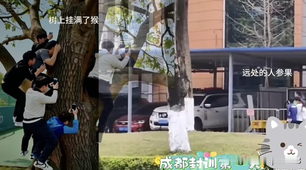成都封训第一天，看看挂在树上的人吧😁今天是国乒到达成都的第二天，封训第一天