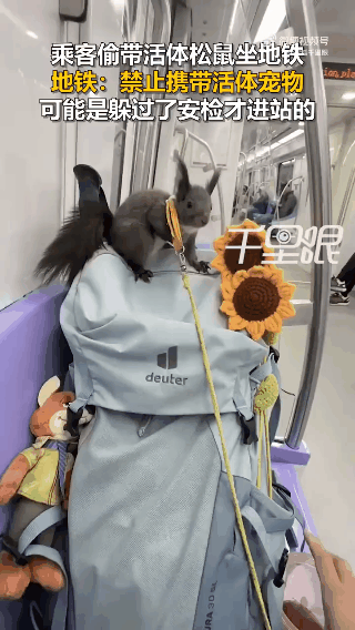 这是怎么躲过安检的？看来还是漏洞啊！近日，在南京地铁上，一位乘客也不知道怎么