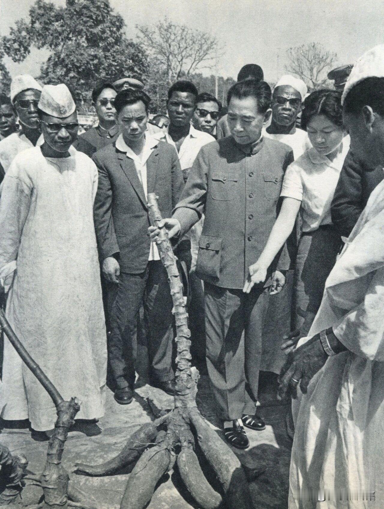 1964年1月23日，访问几内亚期间，周恩来总理在塞古·杜尔总统陪同下，前往金迪