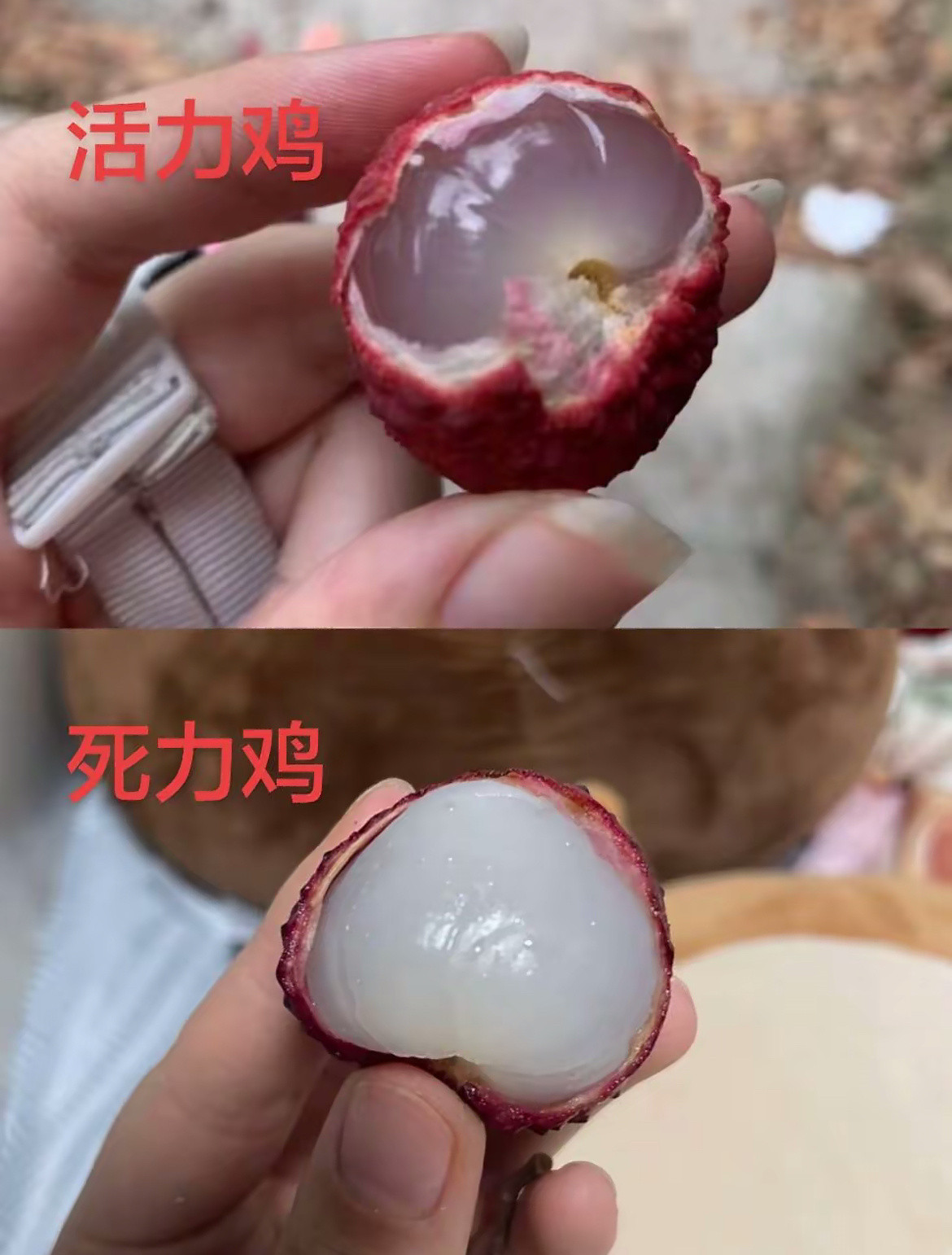 活荔枝死荔枝在电视剧《长安的荔枝》中，相关台词为“荔枝一日色变，二日香变，三日