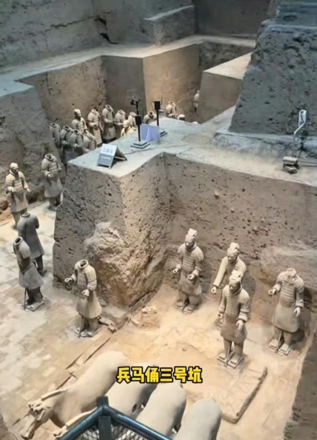 最新消息，警方已介入！男子掉进兵马俑俑坑据中国新闻周刊报道，该事件的目击证人