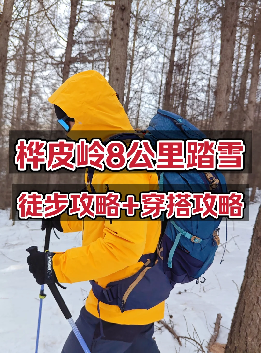 徒步桦皮岭8公里，穿越森林雪地，穿啥？
