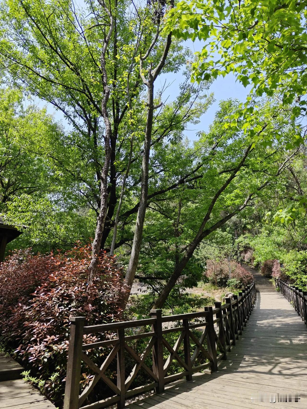 山涧美景如画