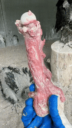 我还以为人类才有：“吃肉不吃骨头”，但是一旦“吃了骨头，就连骨头都不剩”这种说法