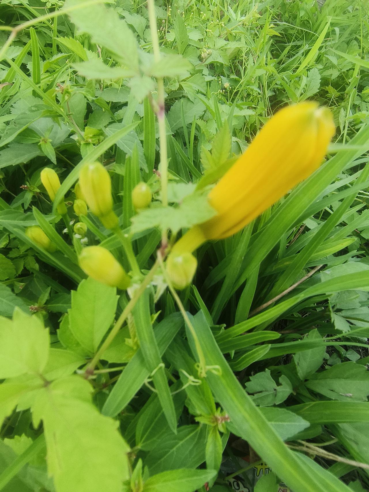 爱情的美好，其实是瞬间的事情，终究还是回归到生活的油盐柴米当中。那句我养你，