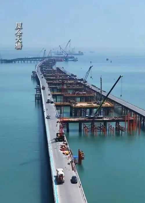3月31号那天，有人拿望远镜往厦门海面一扫，当场愣住了——施工船来回穿梭，桥墩一